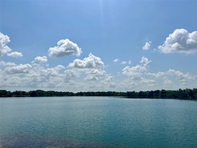 1522 Richland Hollow Ln, Friendswood, TX 77546 - photo 41