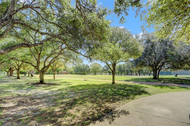 4410 Spellman Rd, Houston, TX 77035 - view of grassy yard with volleyball court