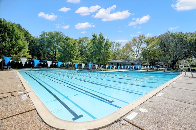 4410 Spellman Rd, Houston, TX 77035 - community pool featuring view of wooded area