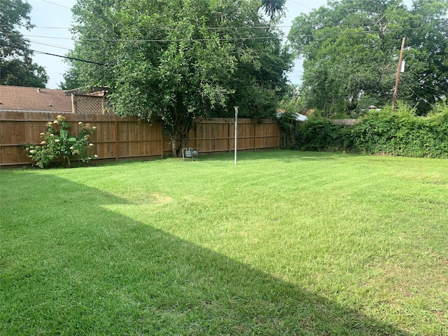 4410 Spellman Rd, Houston, TX 77035 - view of yard