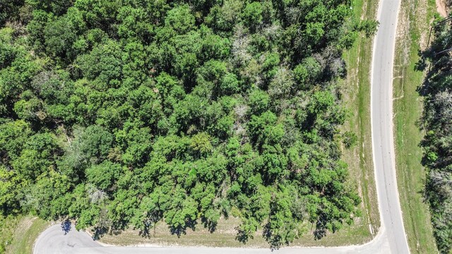 10711 Ruger Rd, Willis, TX 77378