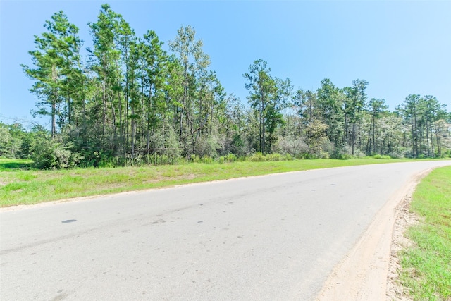 10711 Ruger Rd, Willis, TX 77378