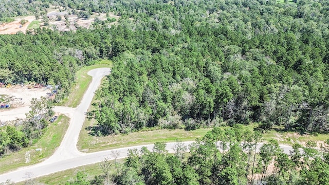 10711 Ruger Rd, Willis, TX 77378