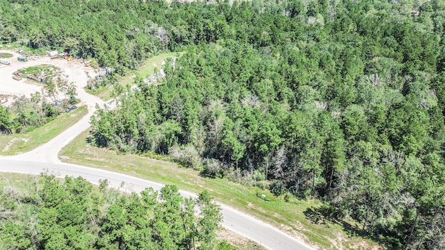 10711 Ruger Rd, Willis, TX 77378