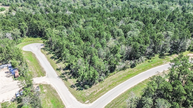 10711 Ruger Rd, Willis, TX 77378