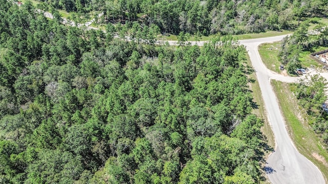 10711 Ruger Rd, Willis, TX 77378