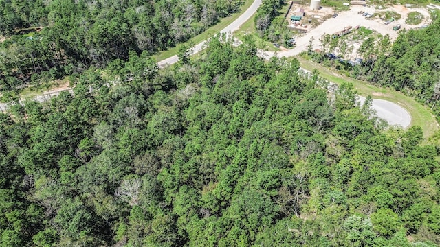 10711 Ruger Rd, Willis, TX 77378