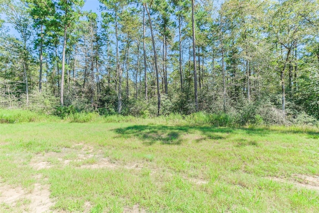 10711 Ruger Rd, Willis, TX 77378