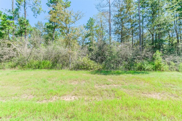 10711 Ruger Rd, Willis, TX 77378