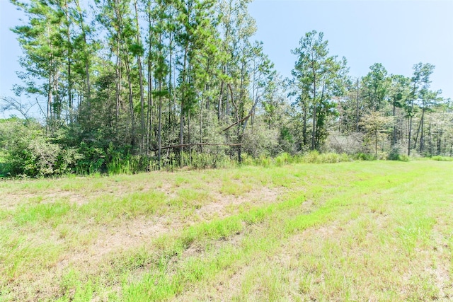10711 Ruger Rd, Willis, TX 77378