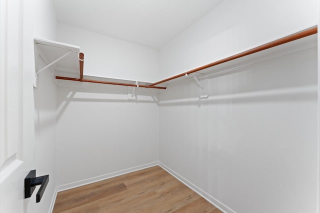 2411 Irish Spring Dr, Houston, TX 77067 - walk in closet with light wood-type flooring