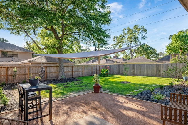 3707 Brook Shadow Dr, Houston, TX 77345 - view of patio