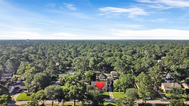 3707 Brook Shadow Dr, Houston, TX 77345 - aerial perspective of suburban area featuring a forest