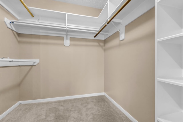 5514 Clarkston Ln, Spring, TX 77379 - walk in closet featuring carpet