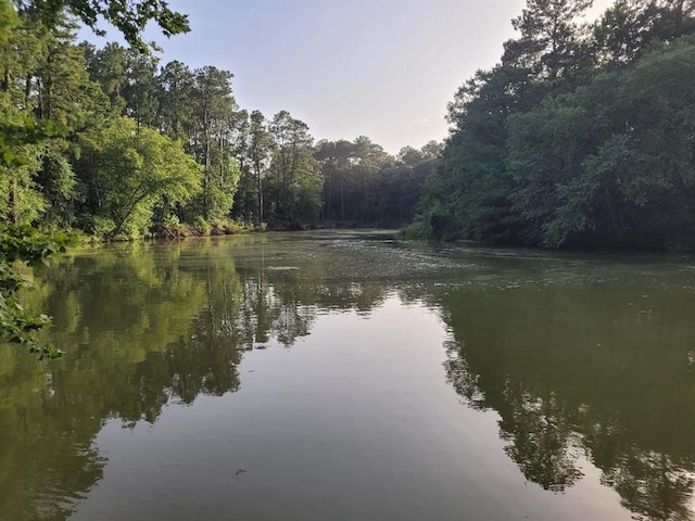 24831 River Terrace Rd, Huffman, TX 77336 - photo 2