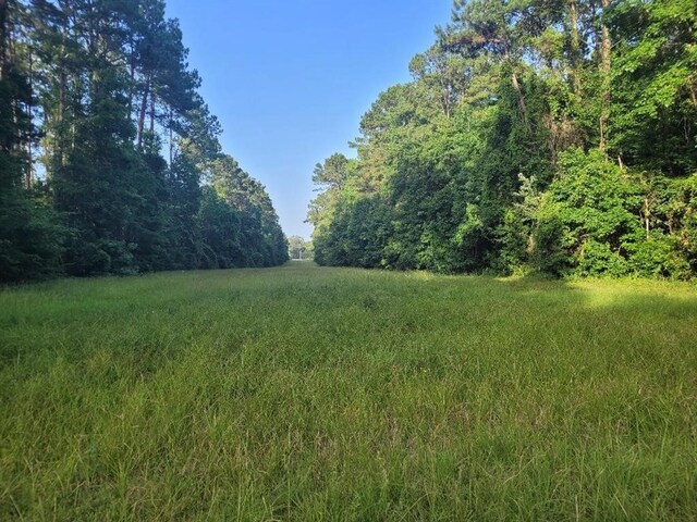 24831 River Terrace Rd, Huffman, TX 77336 - photo 5