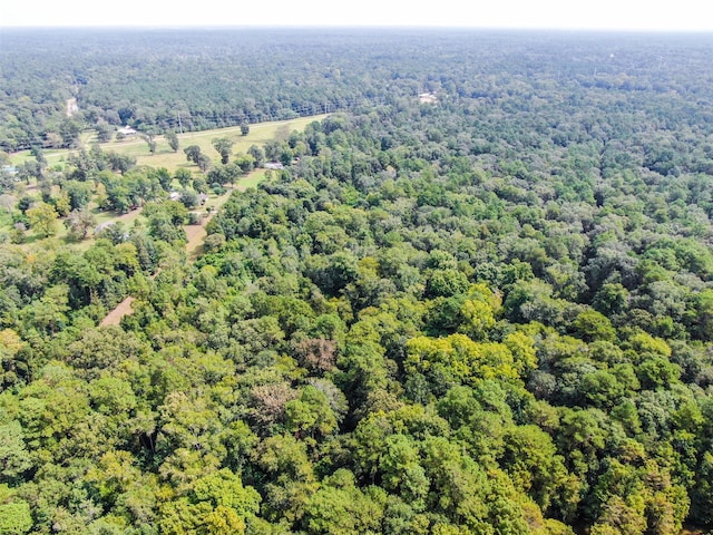 24831 River Terrace Rd, Huffman, TX 77336 - photo 25
