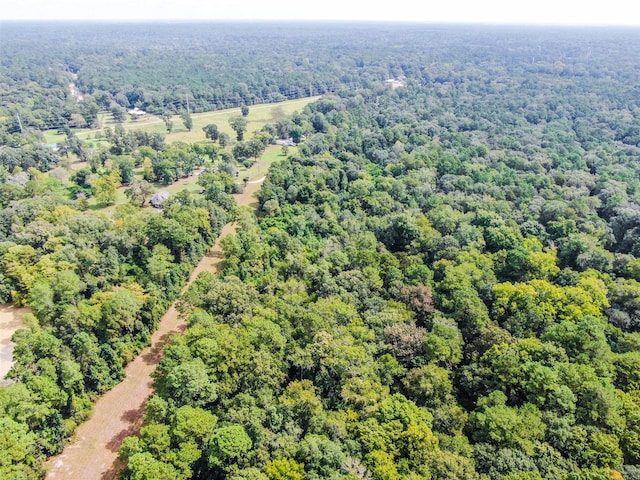 24831 River Terrace Rd, Huffman, TX 77336 - photo 27