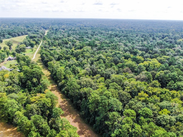 24831 River Terrace Rd, Huffman, TX 77336 - photo 29