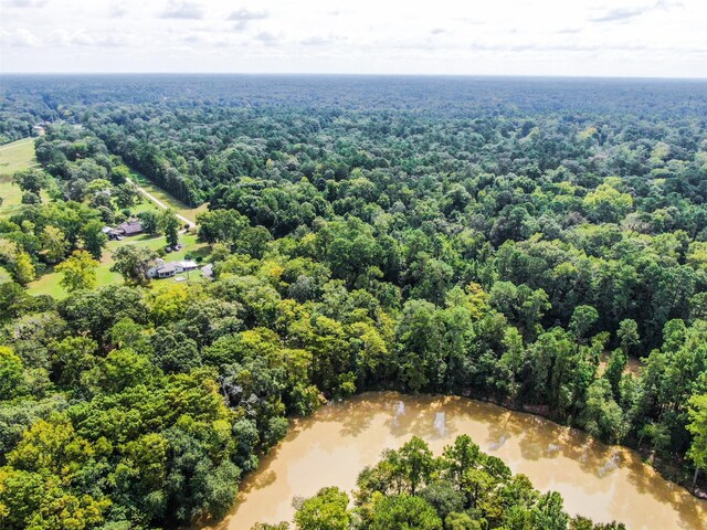 24831 River Terrace Rd, Huffman, TX 77336 - photo 32