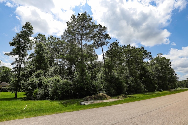 27414 Shady Hills Landing Ln, Spring, TX 77386