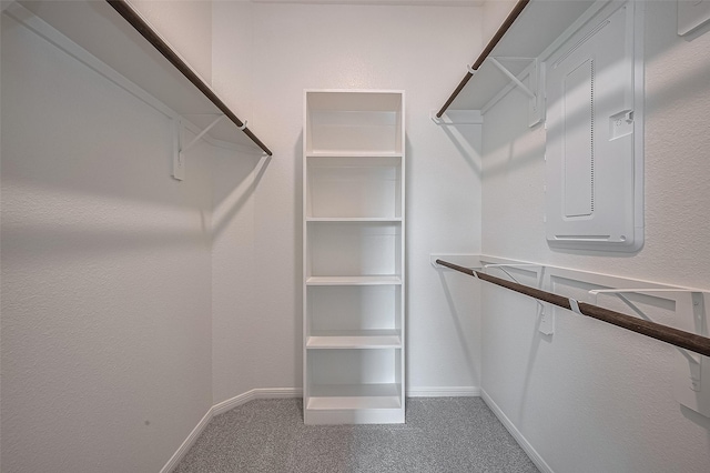 5819 Grantgrala Dr, Katy, TX 77493 - spacious closet with carpet and electric panel