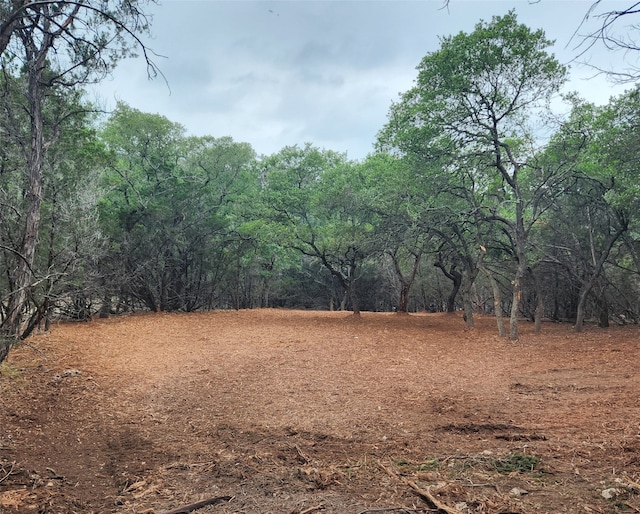 1600 Moerike Rd, Canyon Lake, TX 78133 - photo 1