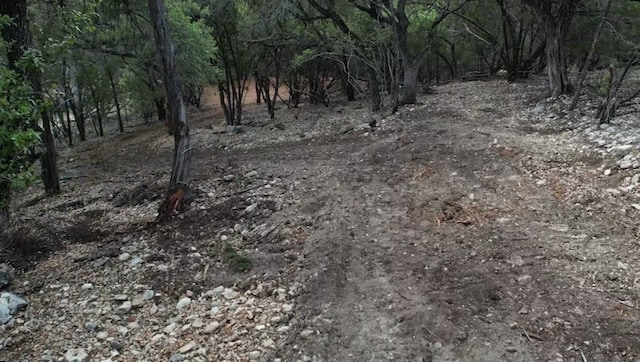 1600 Moerike Rd, Canyon Lake, TX 78133 - photo 2