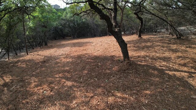 1600 Moerike Rd, Canyon Lake, TX 78133 - photo 7