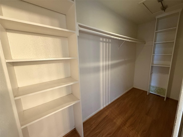 10555 Turtlewood Ct Unit 2011, Houston, TX 77072 - spacious closet with wood finished floors