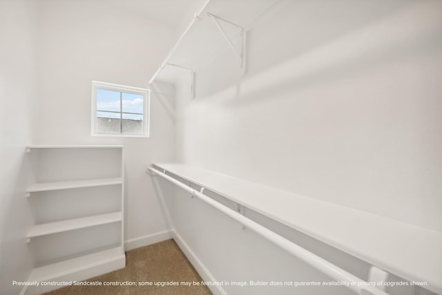 833 Fisher St Unit C, Houston, TX 77018 - spacious closet with carpet floors