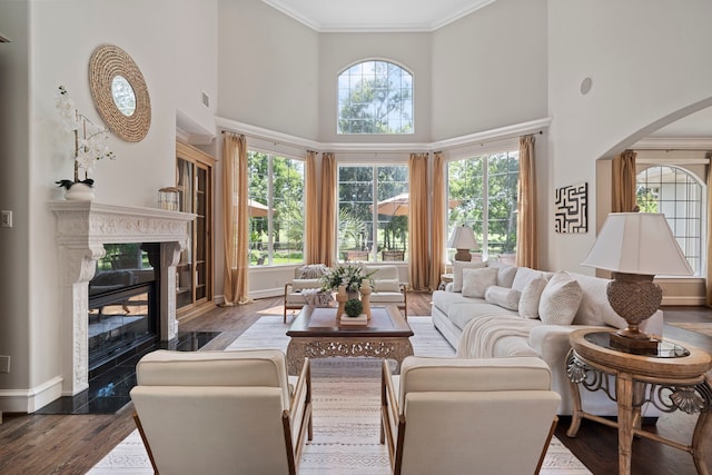 26 Commanders Pt, Missouri City, TX 77459 - living room with a high ceiling, arched walkways, healthy amount of natural light, crown molding, and wood finished floors