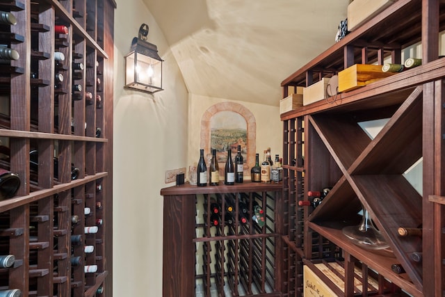 26 Commanders Pt, Missouri City, TX 77459 - wine area with lofted ceiling