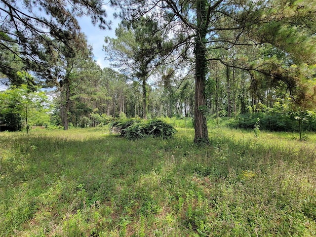 25908 Somerset, New Caney, TX 77357