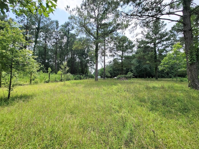 25908 Somerset, New Caney, TX 77357