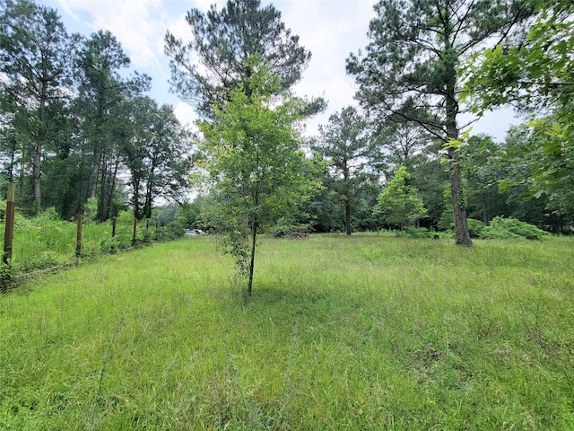 25908 Somerset, New Caney, TX 77357