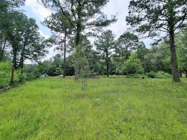 25908 Somerset, New Caney, TX 77357