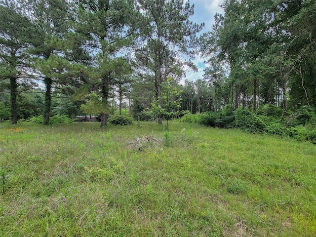 25908 Somerset, New Caney, TX 77357