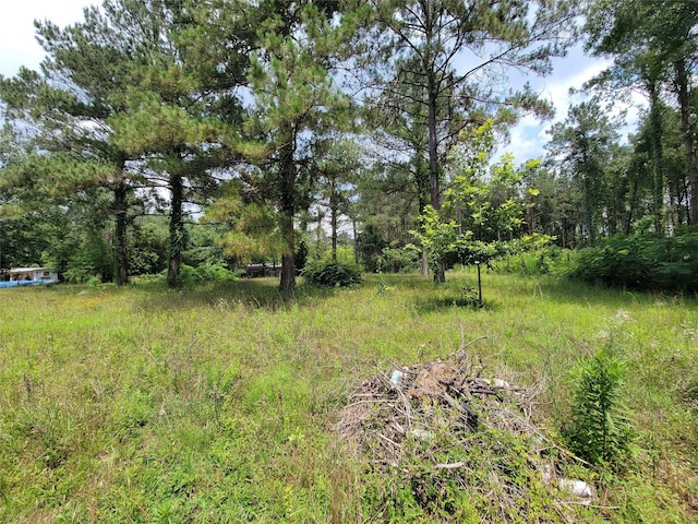 25908 Somerset, New Caney, TX 77357