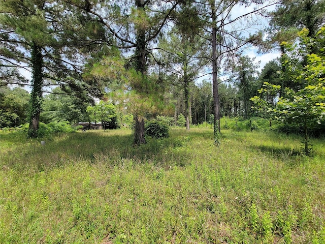 25908 Somerset, New Caney, TX 77357