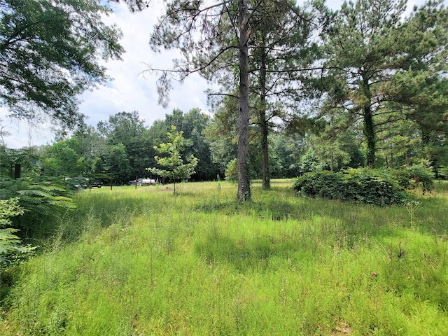 25908 Somerset, New Caney, TX 77357