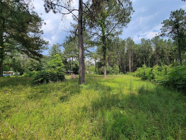 25908 Somerset, New Caney, TX 77357
