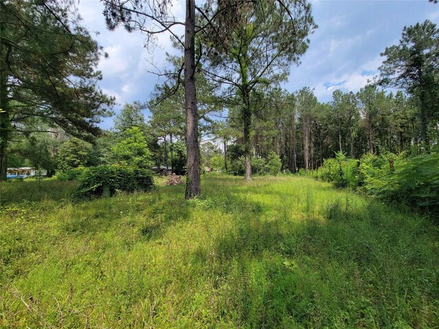 25908 Somerset, New Caney, TX 77357