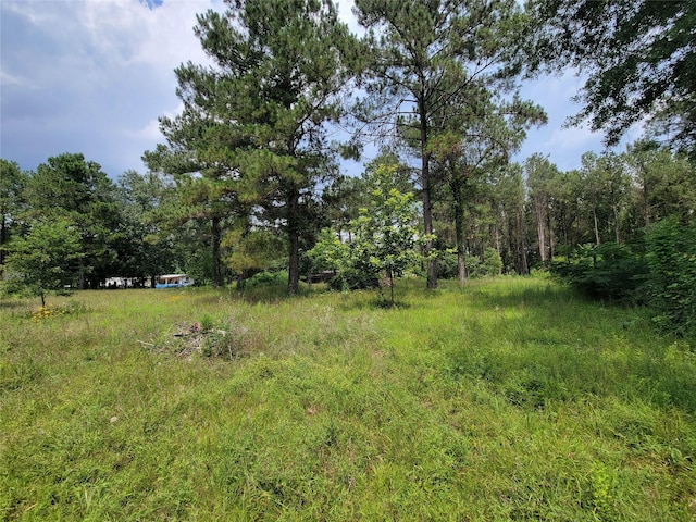 25908 Somerset, New Caney, TX 77357
