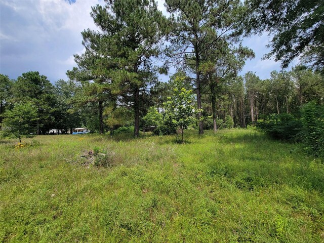 25908 Somerset, New Caney, TX 77357