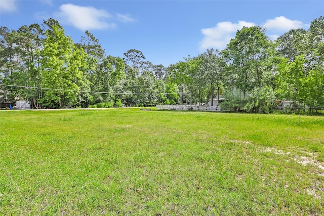 538 Magnolia Point Dr, Huffman, TX 77336 - view of green lawn