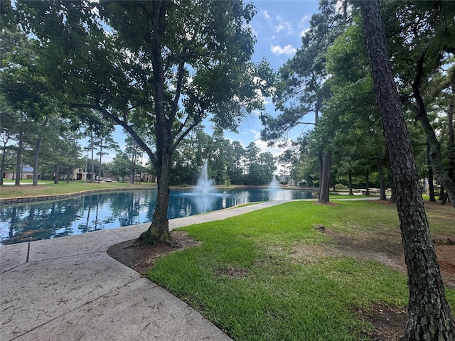 12118 Pinelands Park Ln, Humble, TX 77346 - view of home's community with a water view and a yard
