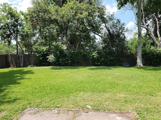 5814 Fontenelle Dr, Houston, TX 77035 - view of yard