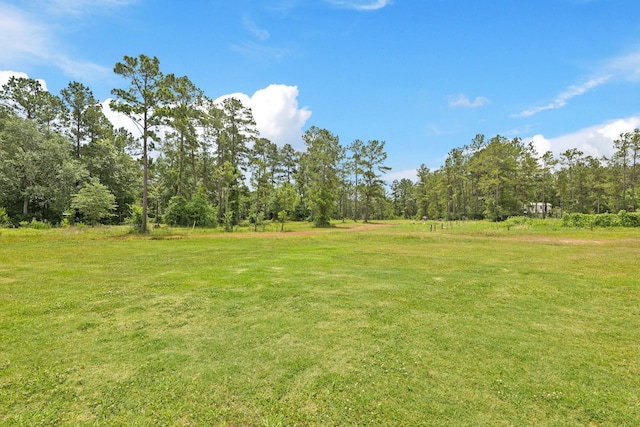 17772 W Terrace Oaks, Waller, TX 77484 - view of green lawn featuring a forest view