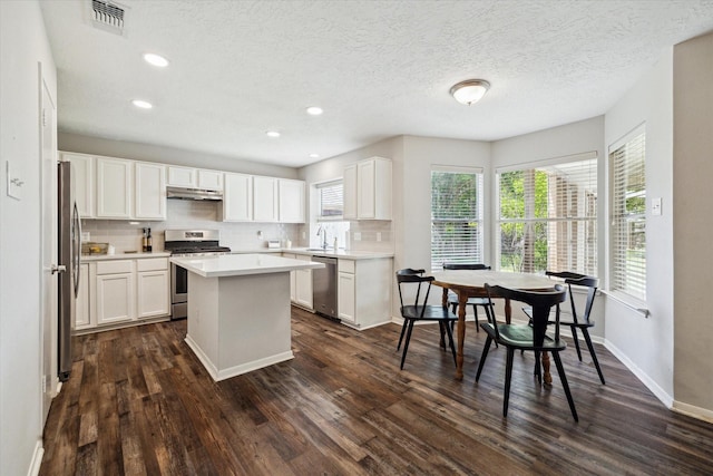 21326 Wildcroft Dr, Katy, TX 77449 - kitchen with stainless steel appliances, under cabinet range hood, dark wood-style flooring, tasteful backsplash, and recessed lighting
